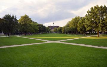 Grassy tree lined quad with crisscrossed sidewalks with a university building in the distance.
