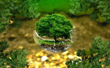 A broken glass sphere with a small tree contained within is surrounded by greenery and nature. 