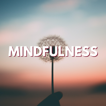  - MINDFULNESS Link to file